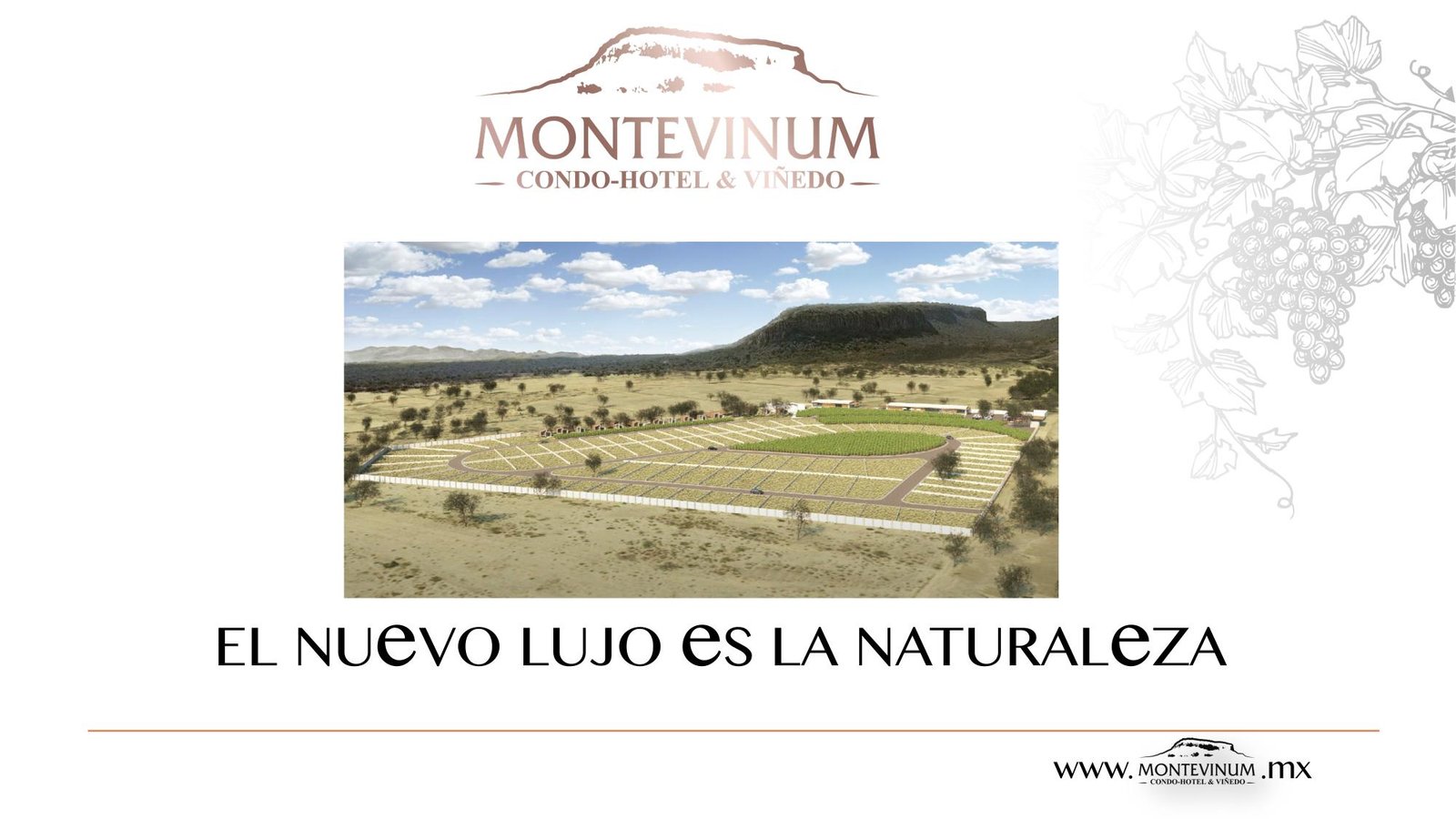 Montevinum - Imagen 29